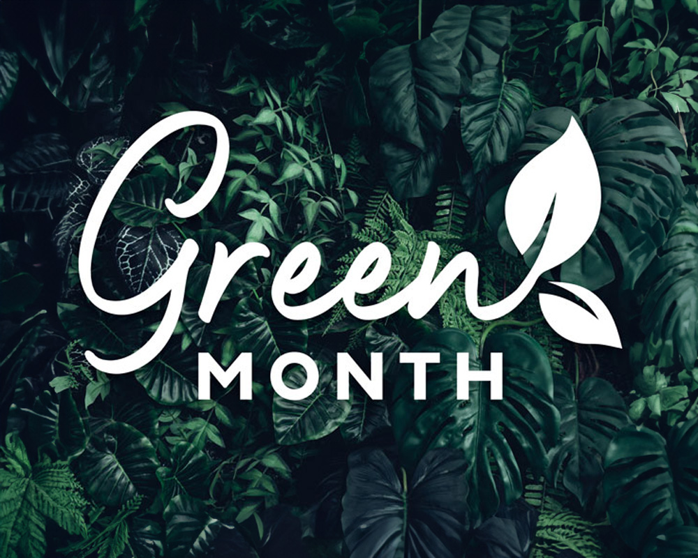 BlogBlock-FF-greenmonth